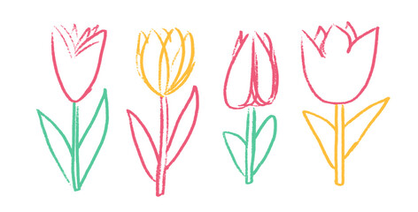 Tulip line flowers crayon drawn set. Spring crocus plants doodle. Summer floral kids elements. Chalk or pastel style childish shape. Vector naive pencil illustration isolated on white background.