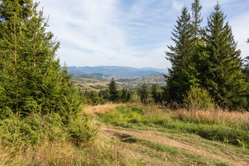 Autumnal Splendor: Carpathian Mountains in Early Fall