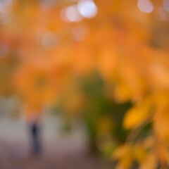  Blurred bokeh effect, warm autumn colors, smooth gradations of blue and black with grainy noise, earthy and cozy, sharp subject focus, soft background