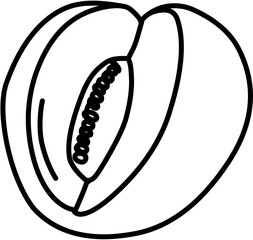 Fruit. Hand drawn vector isolated doodle. Cantaloupe 