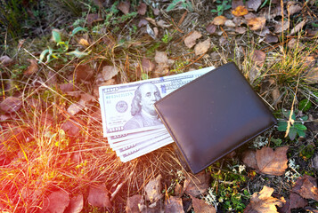 Lost wallet with money lies on ground in park on sunset. Wallet with money on grass in forest....