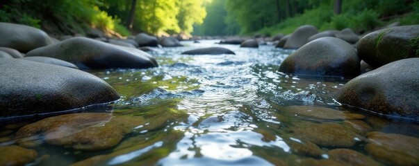Fototapeta premium River waters ripple over smooth riverbed stones, nature, water