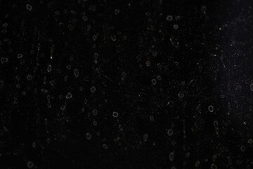 Close-Up of Dust Particles on a Dark Surface Highlighting Dirt and Scratches