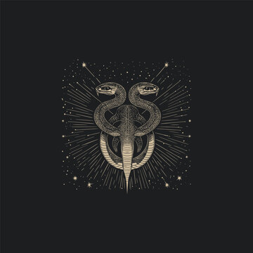 Mythical Snake design vector template illustration