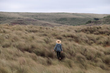 dunas do areal em quara&iacute;, rio grande do sul 