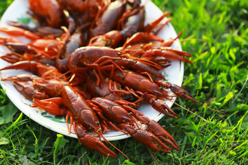 Freshly Cooked Crawfish Platter on Green Grass Background - Gourmet Seafood Delight