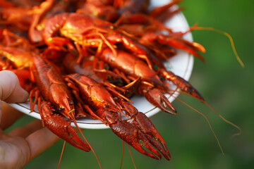 Freshly Cooked Crawfish Platter Held Outdoors on a Sunny Day
