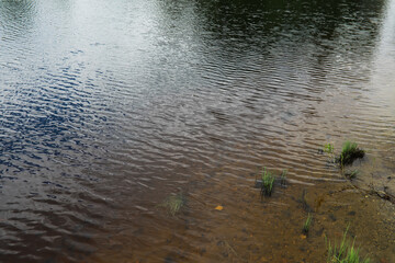 Serene Lake Water Surface with Clear Reflections and Underwater Vegetation
