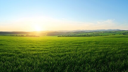 Fototapeta premium Vibrant Sunrise Over Lush Green Field