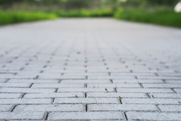 Obraz premium Stone Paved Pathway in Green Urban Park: Serenity and Nature in City Landscape