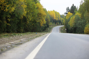 Scenic Rural Roadway in Autumn Forest with Vibrant Foliage and Curving Pathways