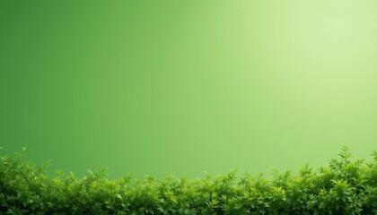 Obraz premium Lush Green Hedge Against a Soft Green Background