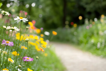 Colorful flowers line serene garden path, creating peaceful atmosphere. blurred background enhances vibrant blooms