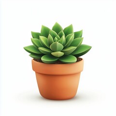 Fototapeta premium A highly detailed, realistic illustration of a green succulent with fleshy leaves in a simple terracotta pot, set against a clean white background.