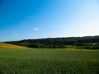 Landscape of meadow and hills in Wieżyca, Kashubian Region, Poland.