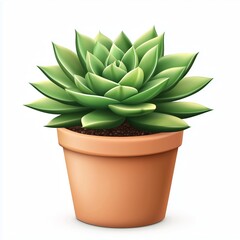 Fototapeta premium A highly detailed, realistic illustration of a green succulent with fleshy leaves in a simple terracotta pot, set against a clean white background.