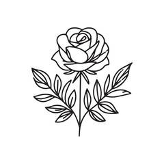 Rose icon, Outline botany, Vector botany thin line illustration on white background,A perfect design for minimalist and detailed floral art.
