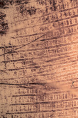 texture colored abstract background closeup