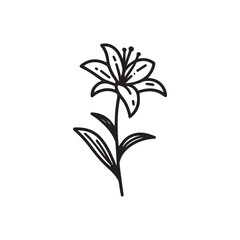 Hand-drawn thin lines flower icon. Vector illustration minimalist contour outline flower bouquet.