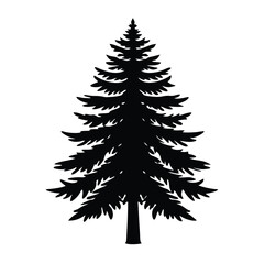 Pine Tree Vector Illustration
