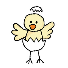 手書きのひよこのイラスト　クリップアート　背景透過　png
