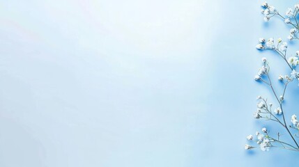 White Baby's Breath Flowers on Light Blue Background