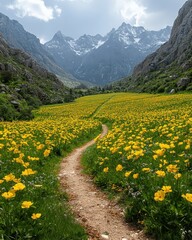 Stunning Alpine Meadow with Yellow Wildflowers and Scenic Pathway Leading to Snow-capped Mountain Peaks Under Blue Sky in Lush Green Valley Landscape Photograph