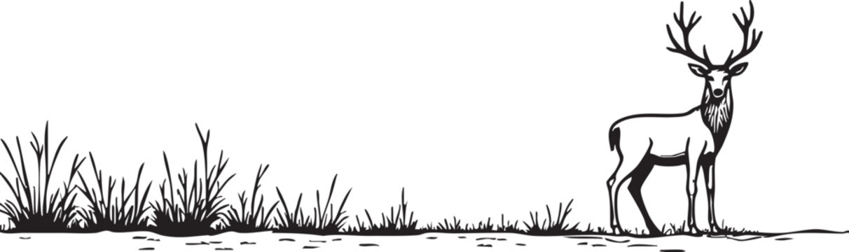 Deer on the meadow silhouette