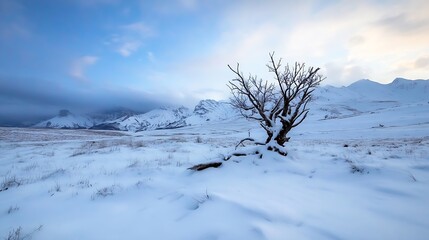 Fascinating winter landscape with a solitary tree in a snowcovered field under a blue sky : Generative AI