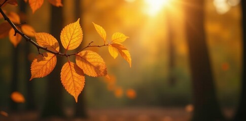 Obraz premium Softly glowing golden leaves on a branch in autumn forest landscape, branch, glow, leaf