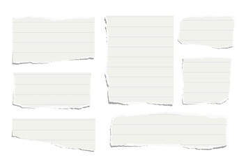 Set of torn pieces of lined paper isolated on a white background. Paper collage.