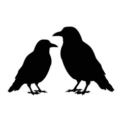 Two crow Black silhouette isolated on transparent background