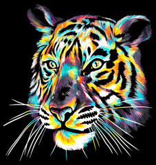 cabeza de tigre realista colorido sobre fondo negro