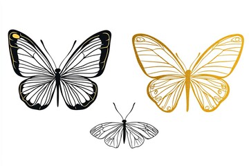 Obraz premium Butterfly black ink line art, silhouette illustrations and gold foil. Insect set for coloring page.