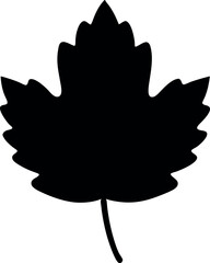 Minimalistic Black Silhouette Vector Illustration of Autumn Leaves with Aerial View, Falling Foliage, Seasonal Nature Art, Elegant Leaf Pattern, Botanical Elements, Rustic Fall Aesthetic, and Forest I