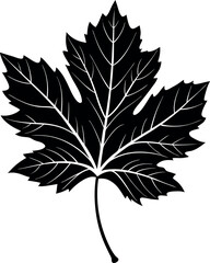 Fototapeta premium Minimalistic Black Silhouette Vector Illustration of Autumn Leaves with Aerial View, Falling Foliage, Seasonal Nature Art, Elegant Leaf Pattern, Botanical Elements, Rustic Fall Aesthetic, and Forest I