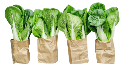 Fresh bok choy in eco friendly paper bags, showcasing sustainable food packaging and vibrant greens. Perfect for healthy meals and eco conscious choices. Isolated on Transparent Background