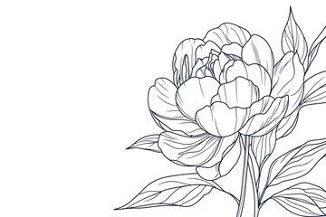 Peony flower and leaves line drawing. Hand drawn outline floral set.