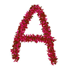 red flower alphabet