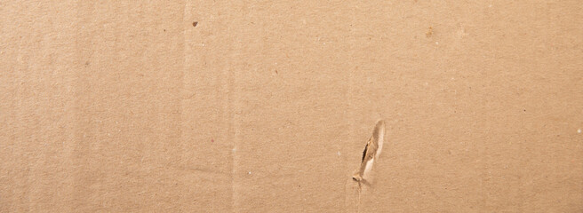 Cardboard background and texture