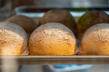 A closeup of freshly baked large round wholewheat bread on a tray 