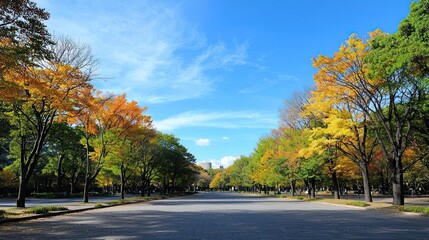 Autumn Colors in a Park Pathway