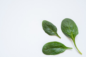 Green spinach leaves on white, symbolizing healthy living, bio food, and plant-based nutrition.
