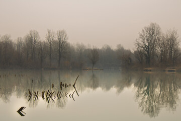 misty morning on the lake