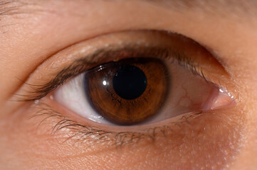 Menschliches Auge. Iris