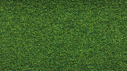 Fototapeta premium Well-maintained lush green grass background with bright natural colors and soft focus depth.