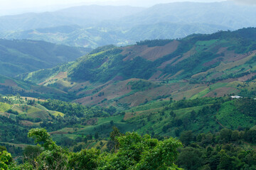 Naklejka premium Lush Green Mountain Landscape Under Soft Clouds and Bright Sky