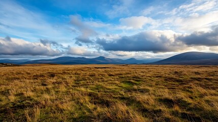 Obraz premium Wide Expansive Landscape of Rolling Hills and Cloudy Sky Underneath a Beautiful Horizon : Generative AI
