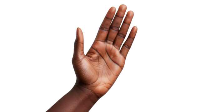 Isolated Hand Showing High Five Gesture on White Background for Celebratory and Positive Social Interactions