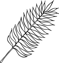 Fototapeta premium Vector line coconut palm leaf isolated on a white background.